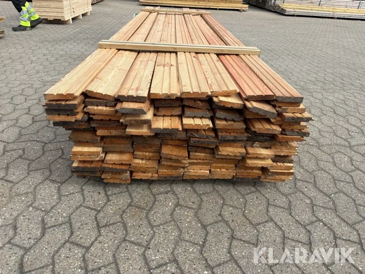 Billede 5 - Sternbradder Lærk - 130 styks