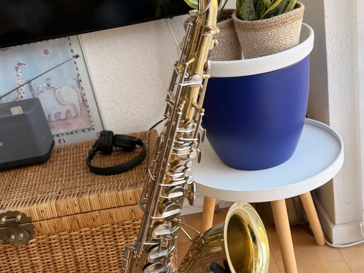 Billede 13 - Steyr Made in Austria dejlig Tenor saxofon