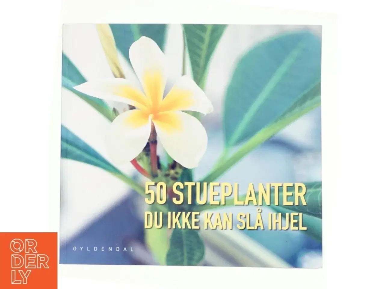 Billede 1 - 50 stueplanter du ikke kan slå ihjel (Bog)