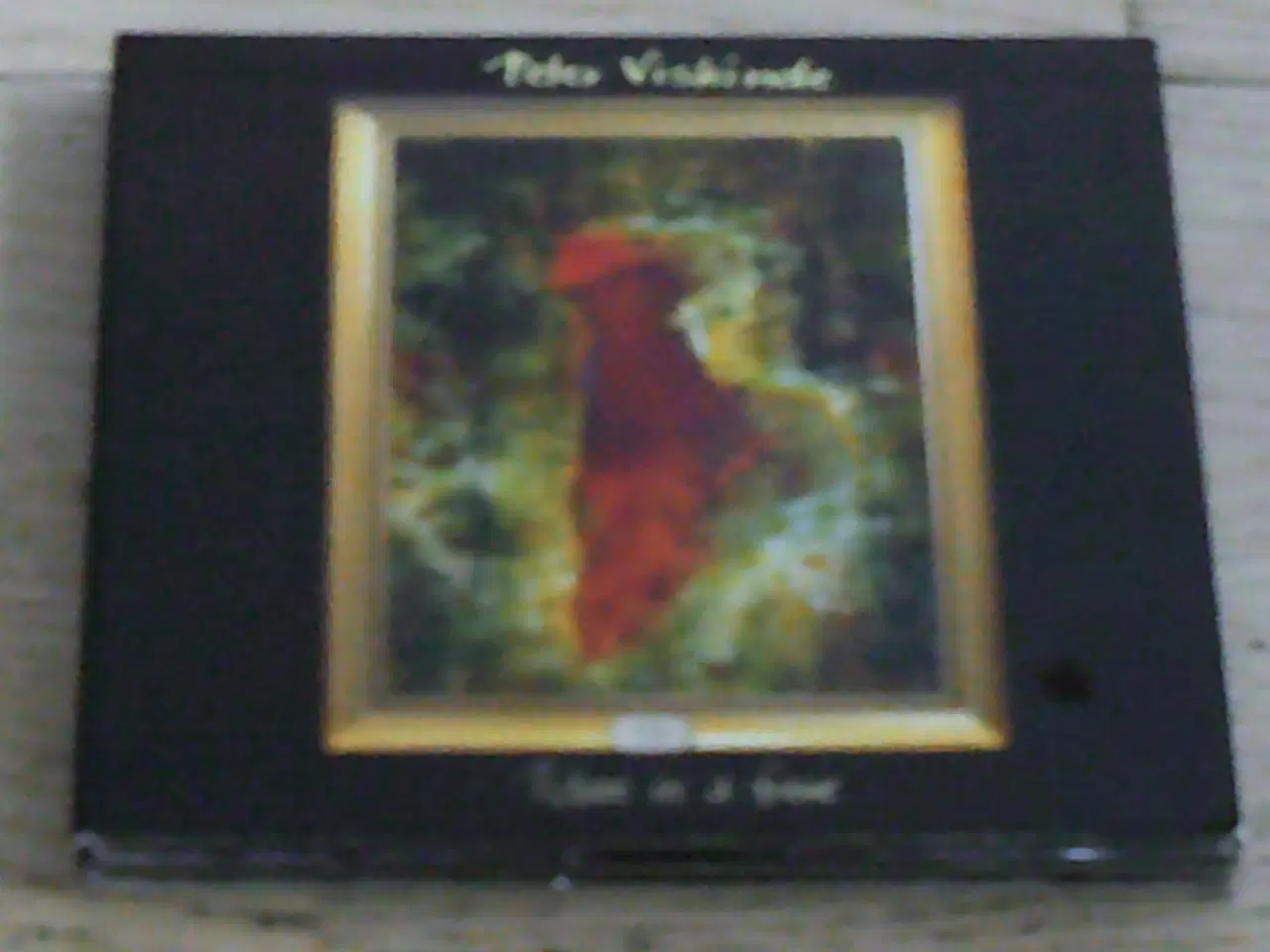Billede 1 - PETER VISKINDE - PICTURE IN A FRAME