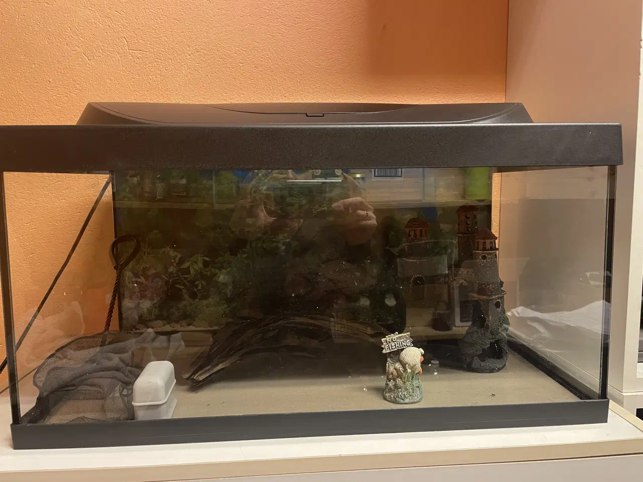 Billede 1 - Akvarium 54 l. Tetra med filter mv