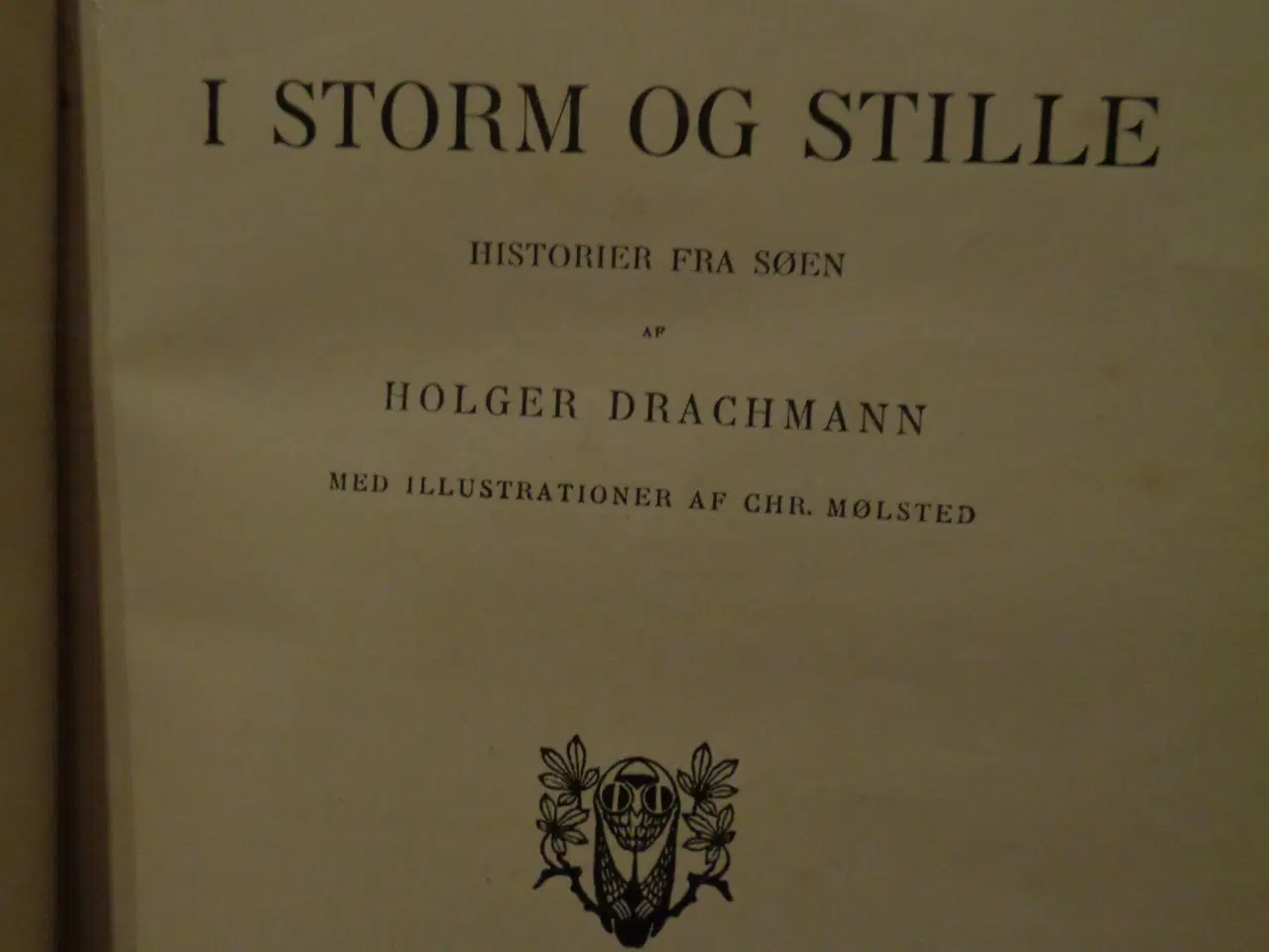 Billede 4 - I storm og stille 