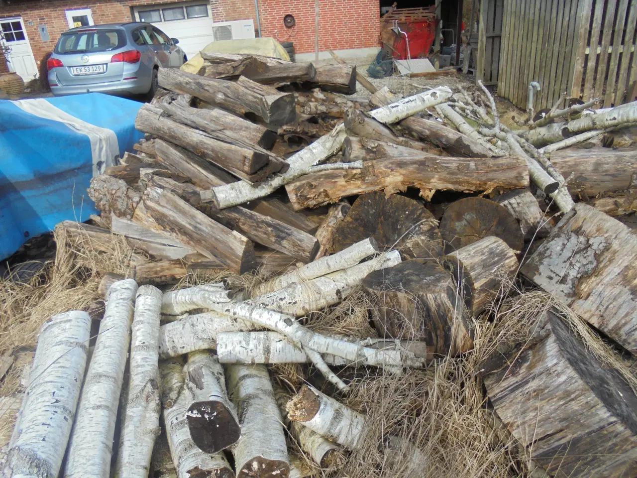 Billede 3 - Brænde Bøgetræ 2år gammel