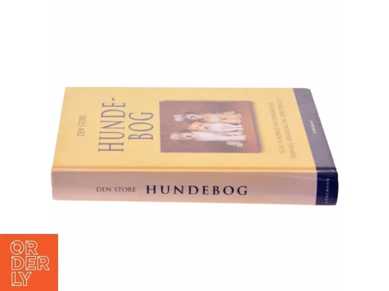 Billede 2 - Den store hundebog : pleje, sundhed og opdragelse, træning, ernæring og førstehjælp (Bog)