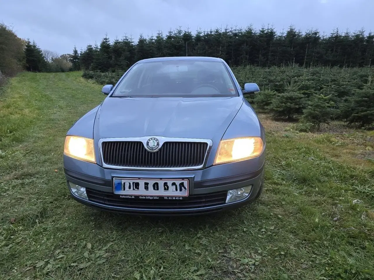 Billede 6 - Skoda Octavia 