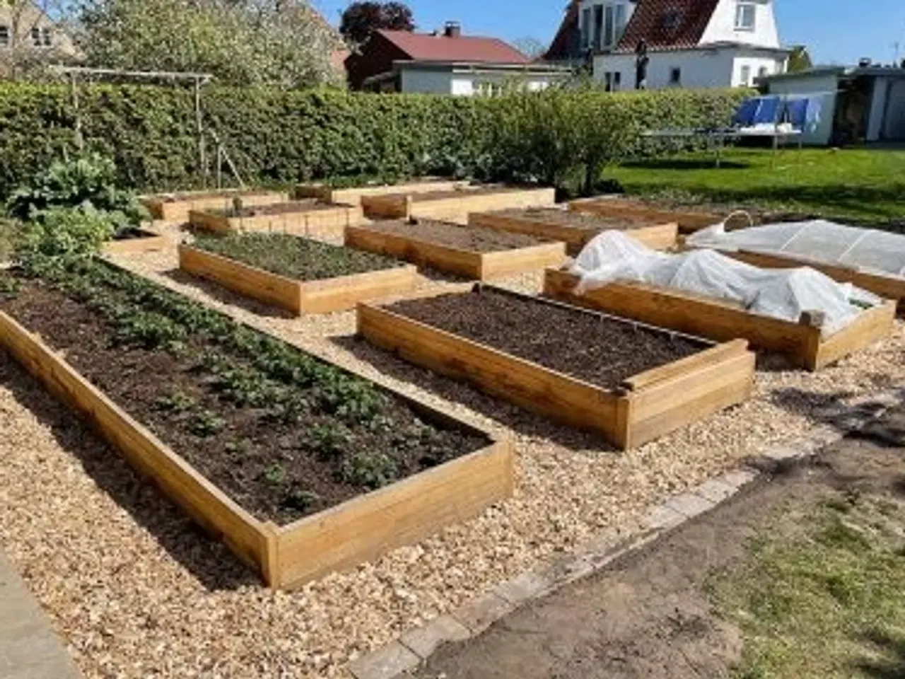 Billede 2 - Højbede, egetræ - byggesæt