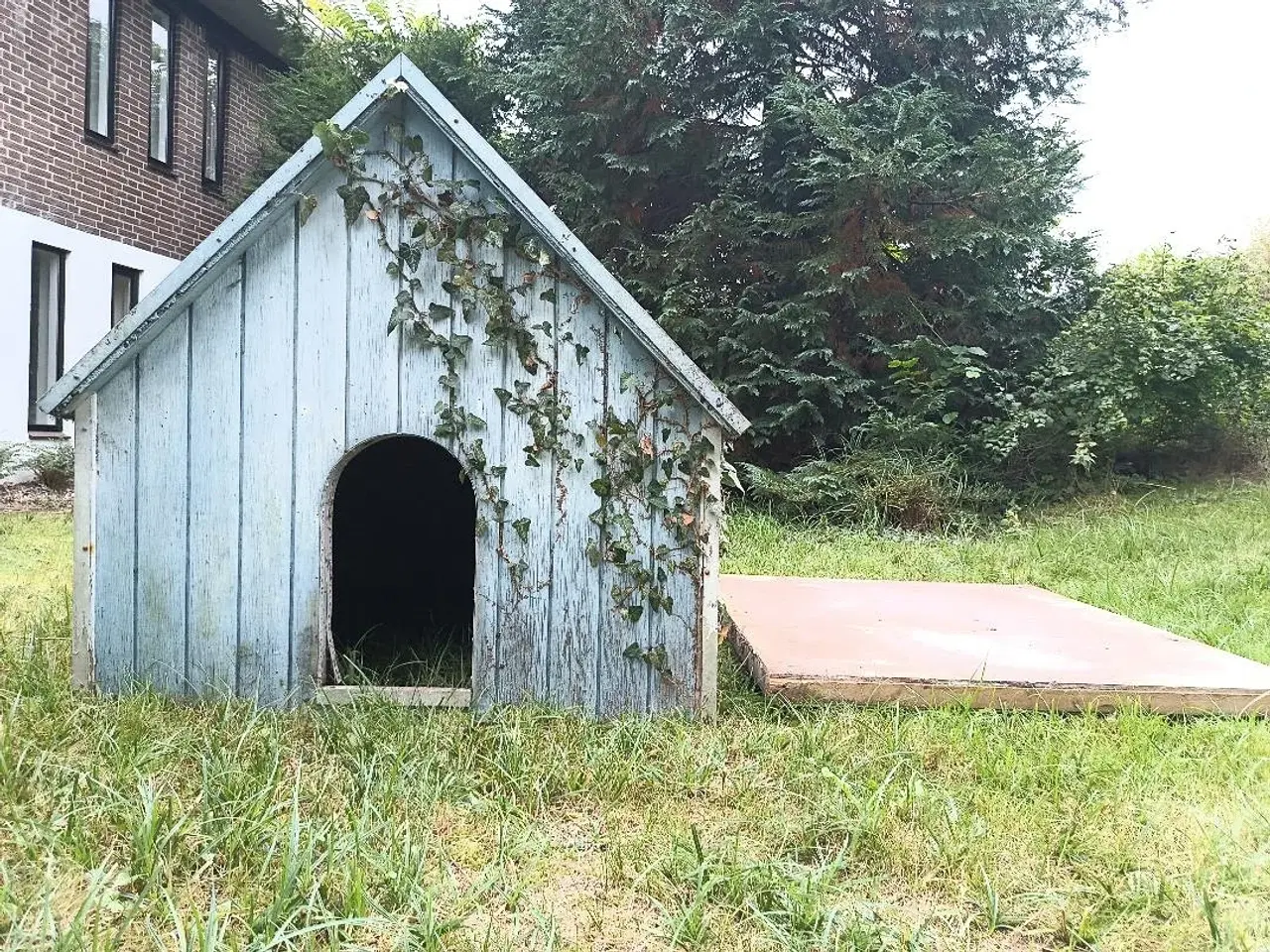 Billede 1 - Stort hundehus kan afhentes gratis.