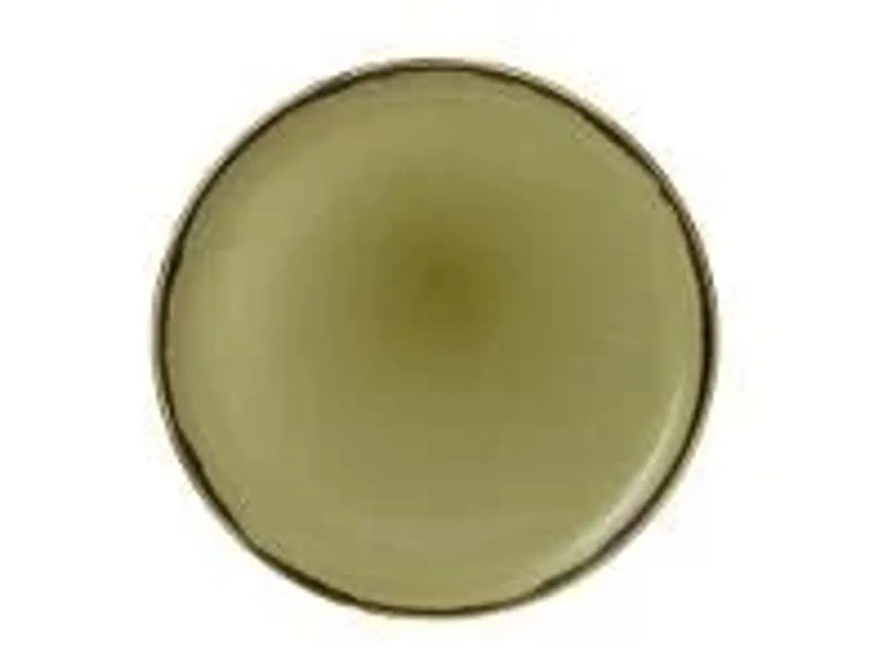 Billede 1 - 12 stk. Tallerken green 217 mm Harvest Dudson