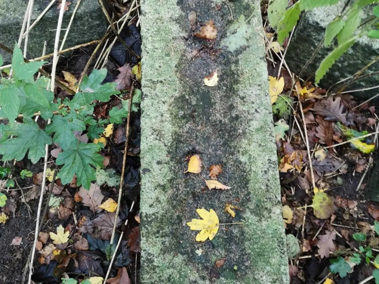 Billede 5 - Granitsten – ægte massiv granit, perfekt til have