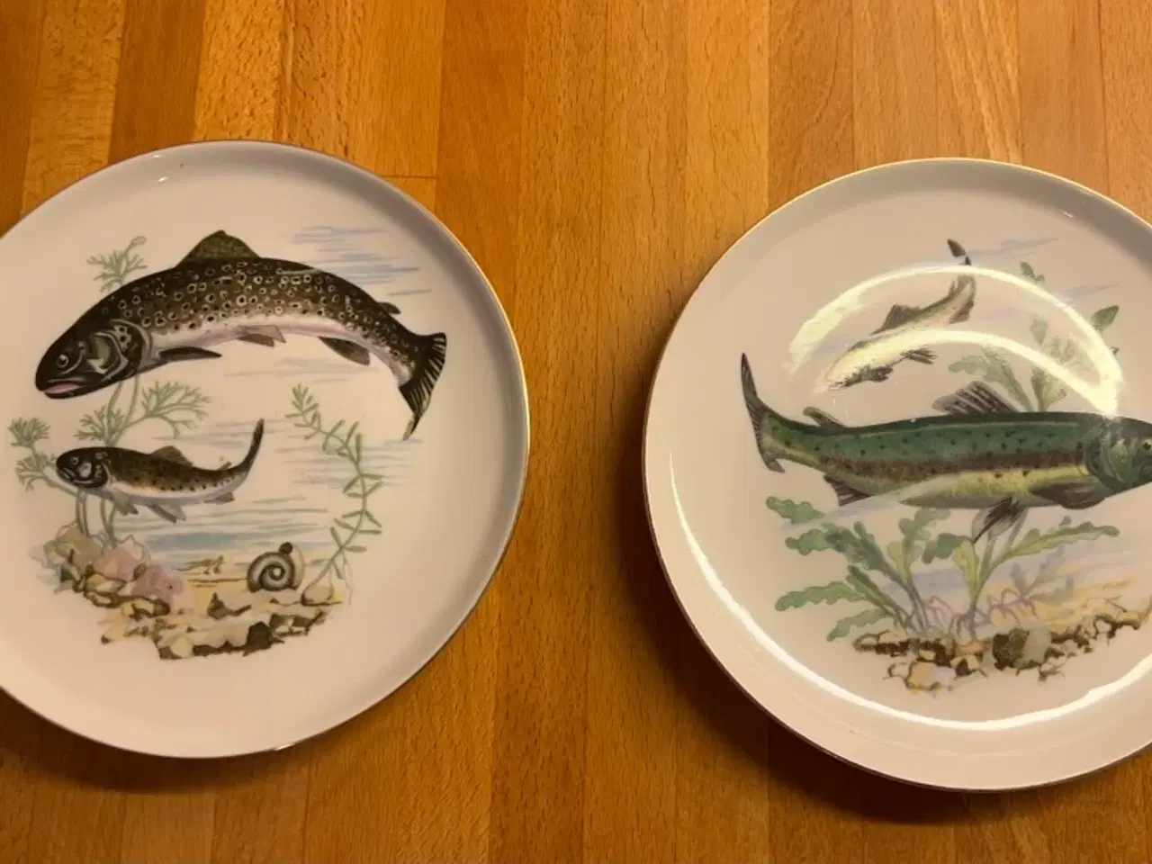 Billede 1 - Fisketallerkener