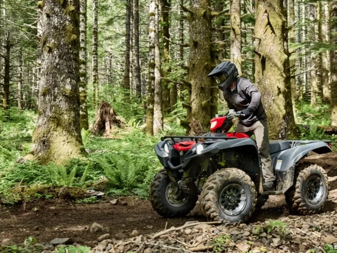 Billede 4 - Yamaha YFM 700 Grizzly EPS Traktor