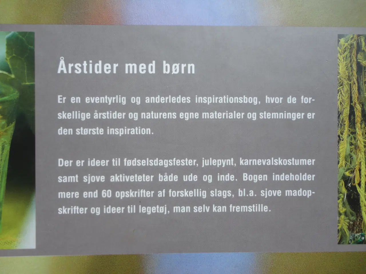 Billede 4 - Årstider med børn  :