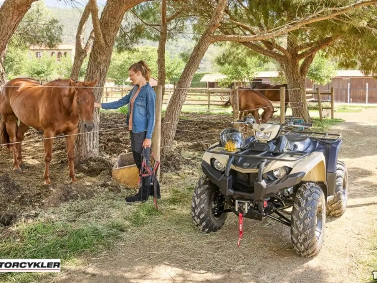 Billede 5 - Yamaha Kodiak 450 EPS SE ALU Diff Lock Traktor
