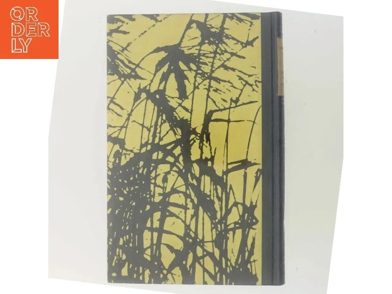 Billede 3 - Isaac Newton: Philosophiæ Naturalis Principia Mathematica af Isaac Newton (Bog)