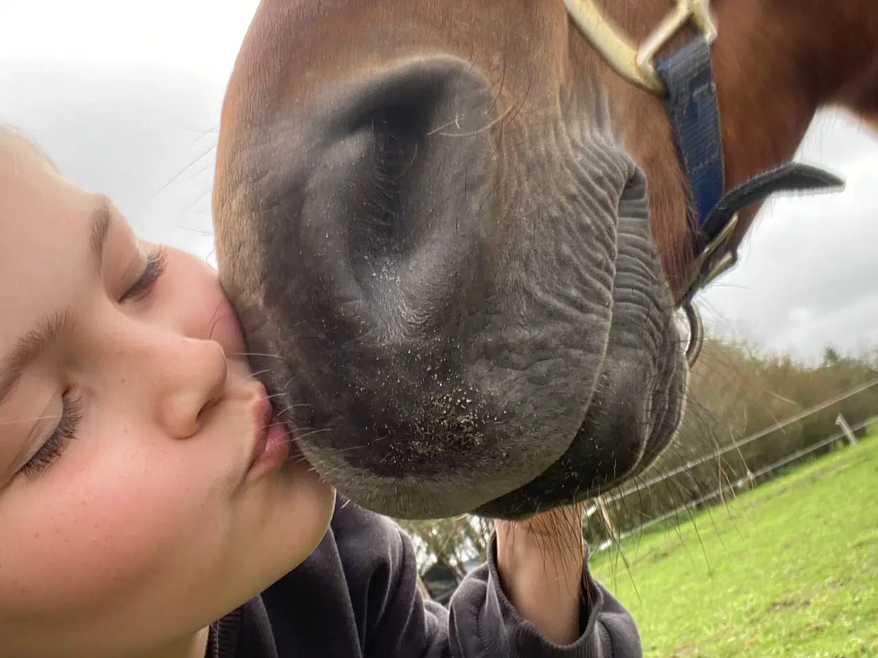 Billede 5 - Sødeste børnepony søger ny familie. 