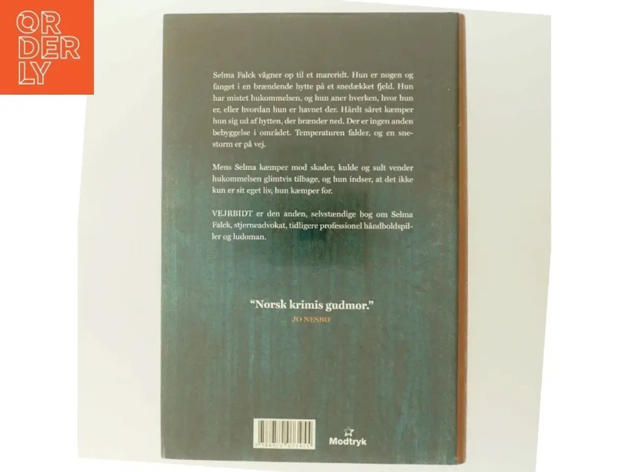 Billede 3 - 'Vejrbidt: Selma Falcks anden store sag' af Anne Holt (f. 1958-11-16) (bog)