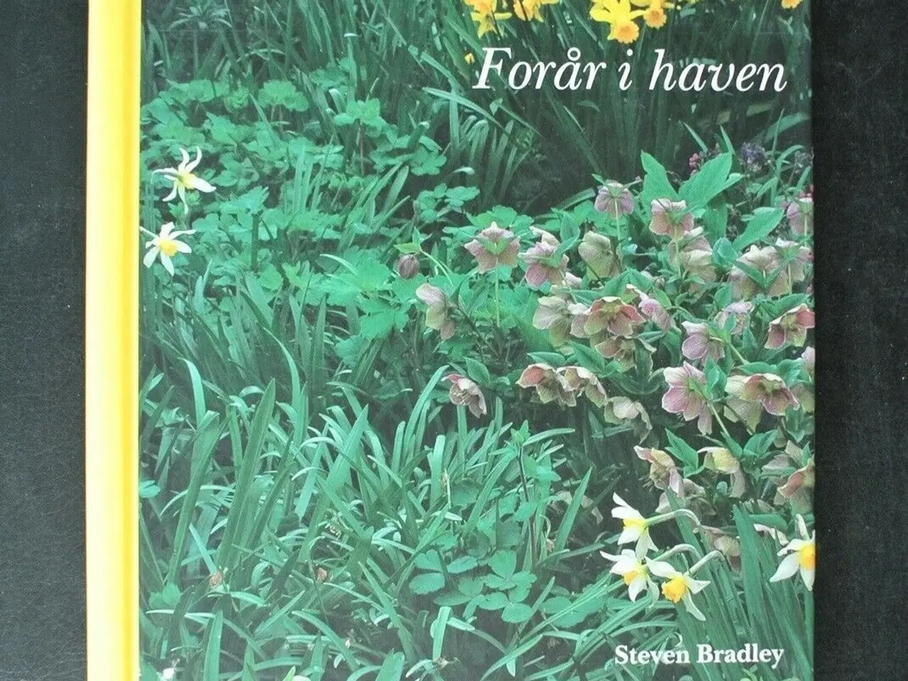 Billede 1 - forår i haven , af steven bradley, emne: hus og ha