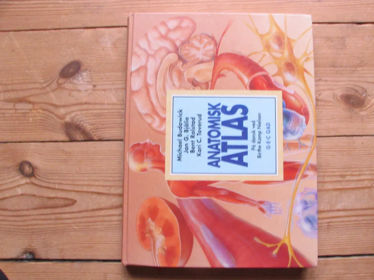 Billede 1 - Anatomisk Atlas