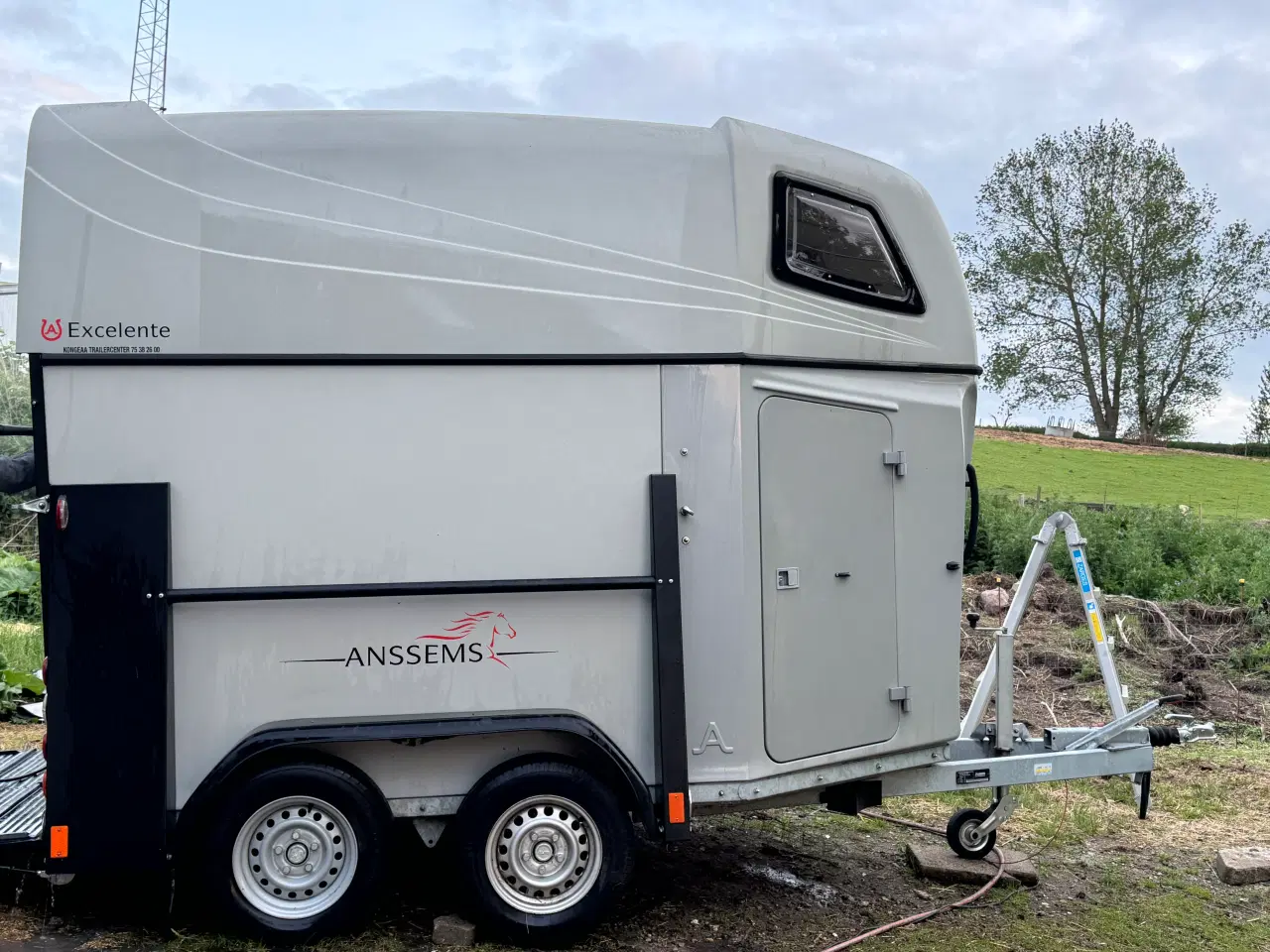 Billede 2 - Anssems hestetrailer