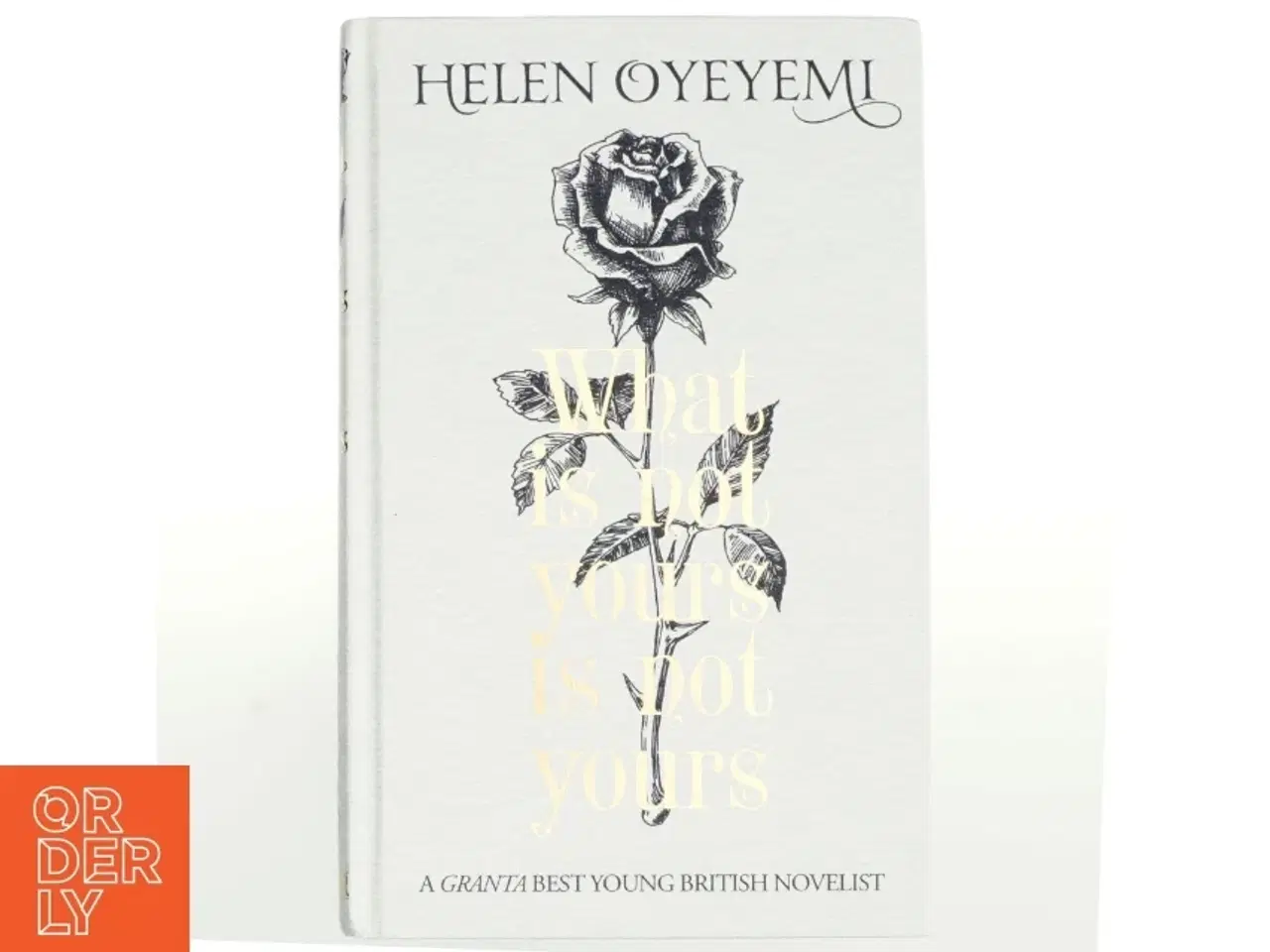 Billede 1 - What is not yours is not yours af Helen Oyeyemi (Bog)