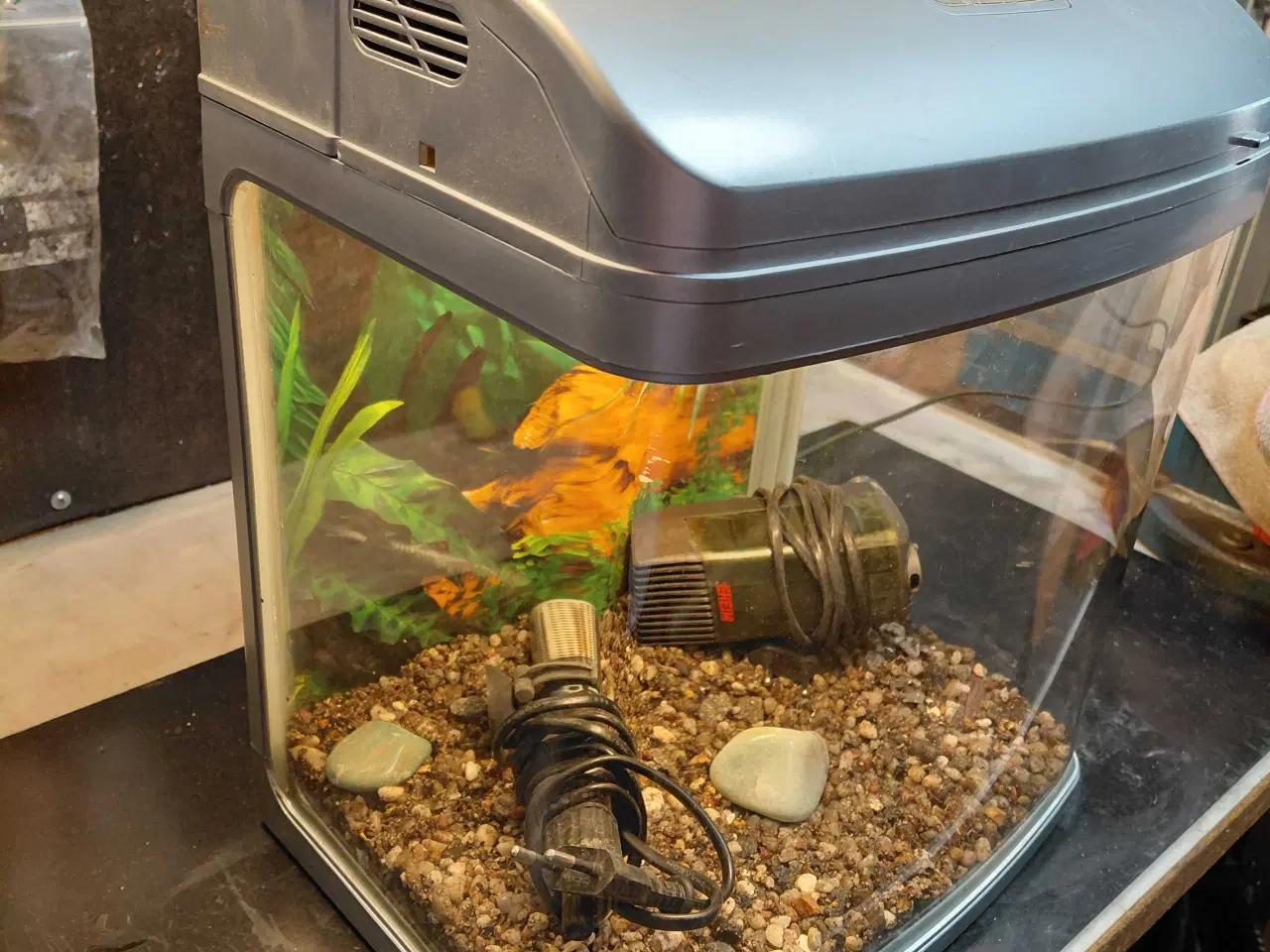 Billede 4 - Akvarier 20L 