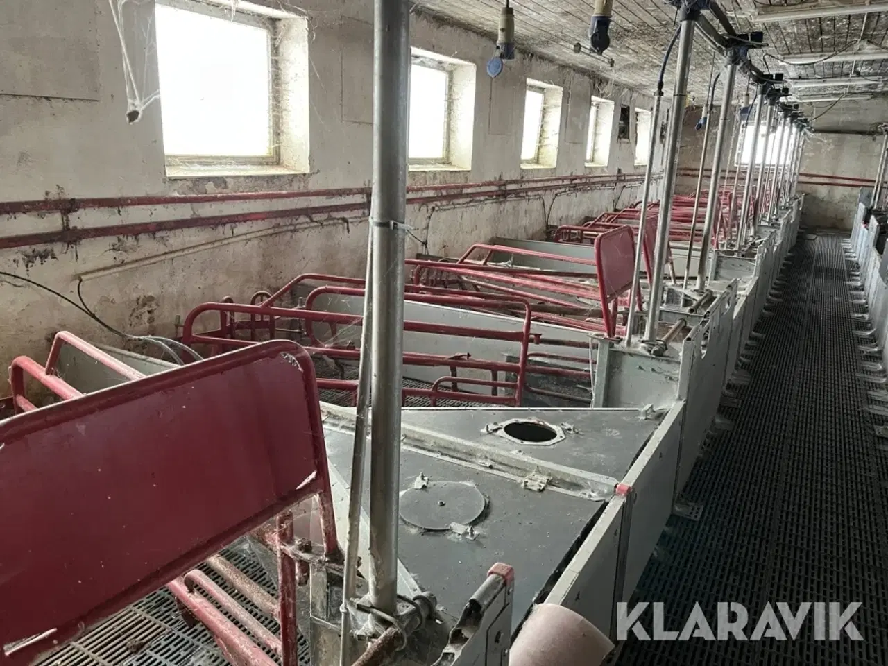 Billede 12 - Grisse stald