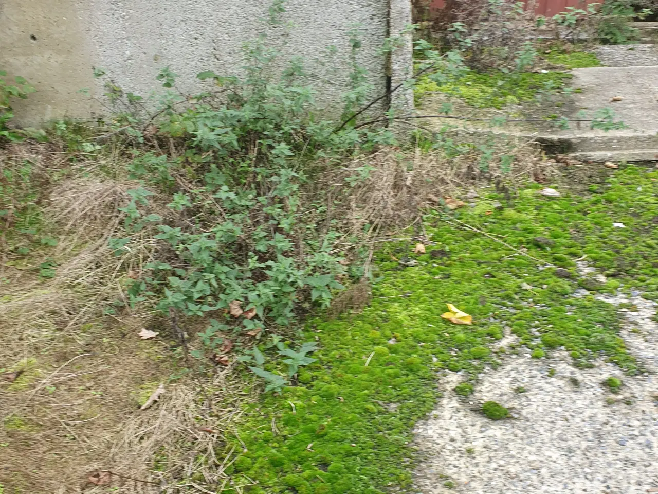 Billede 1 - silo elementer