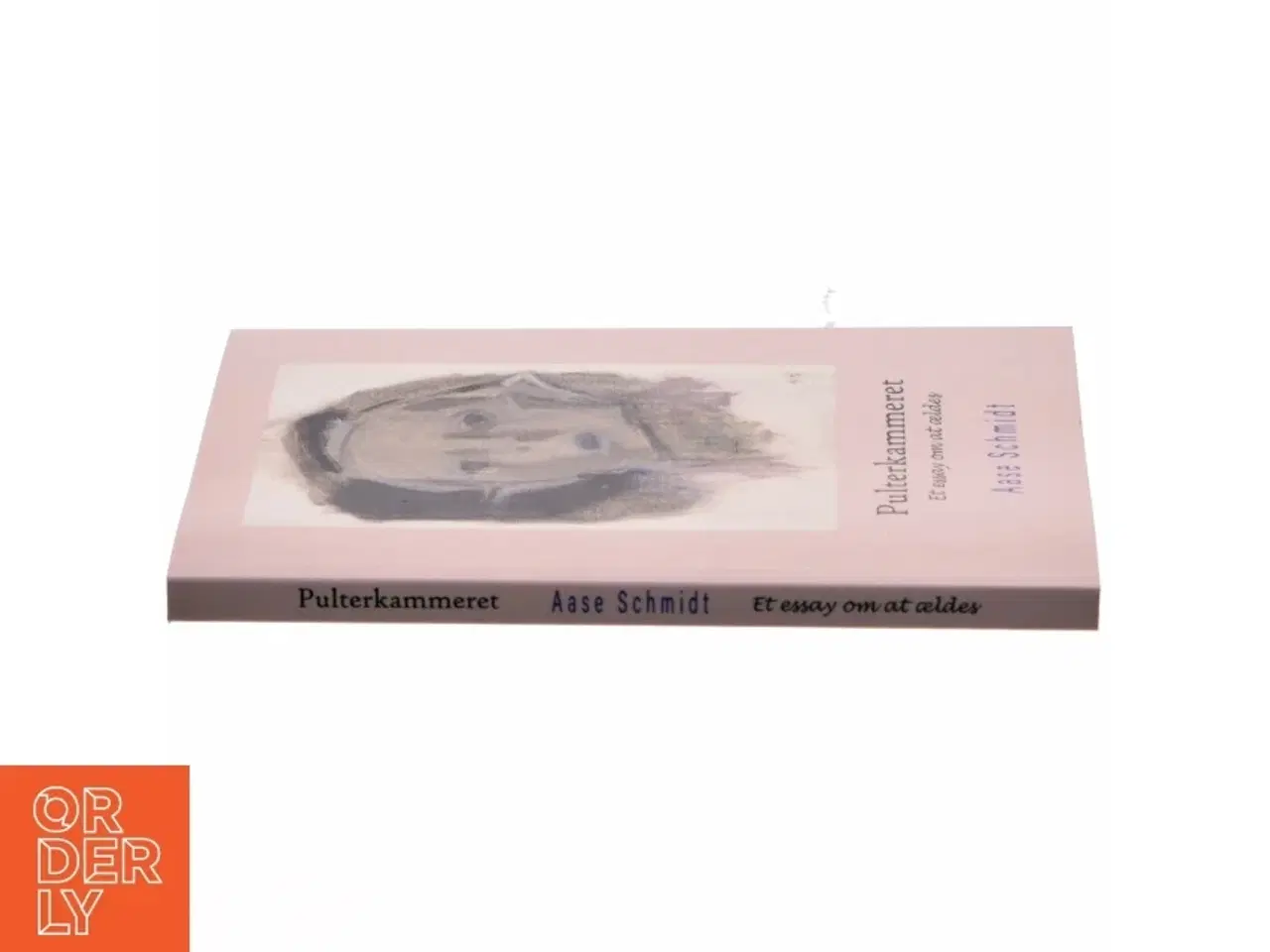 Billede 2 - Pulterkammeret : et essay om at ældes af Aase Schmidt (f. 1935) (Bog)