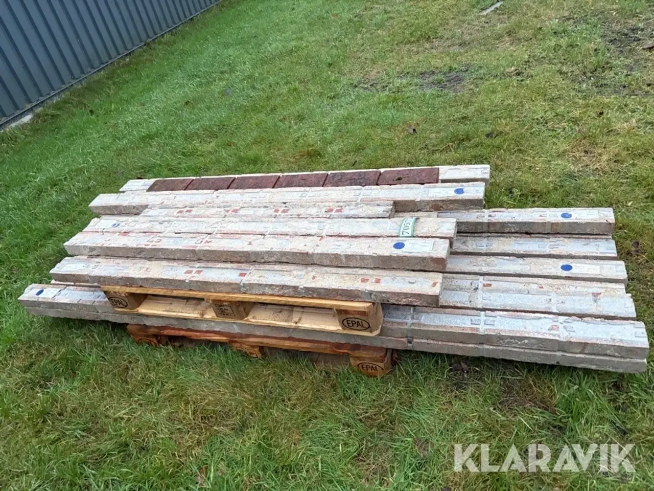 Billede 7 - Overlæggere 21 styk