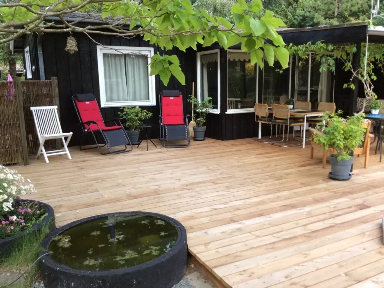 Billede 2 - Dejligt hus med god plads gr�s og h�je tr�er. Wifi, fri internet