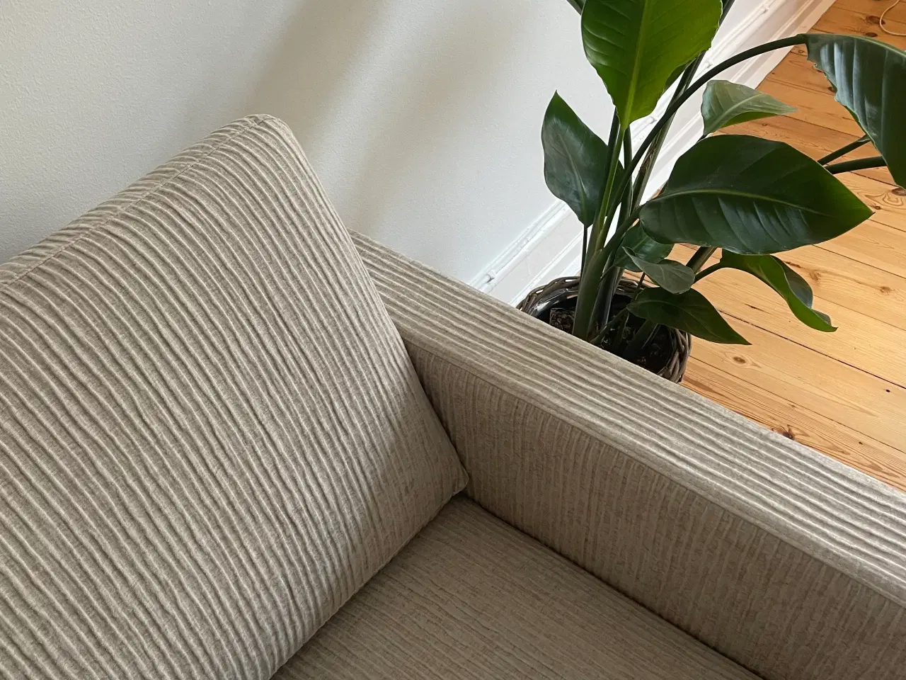 Billede 2 - Sofa 2 1/2 Pers. sandfarvet med egetræsben 