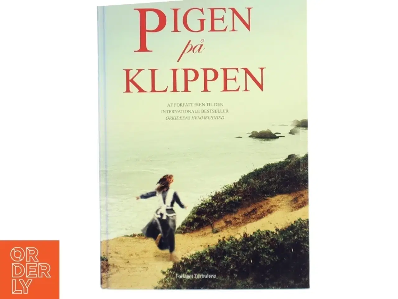 Billede 1 - Pigen på klippen bog fra Turbulenz