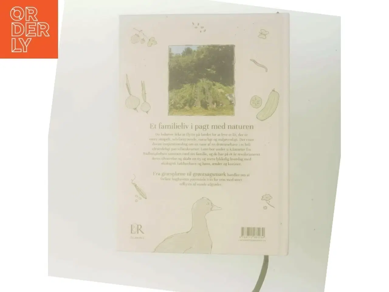 Billede 3 - NY Fra græsplæne til grøntsagsmark : forstadsfarmerens guide til en bæredygtig baghave : selvforsyning, biodiversitet, grøn o