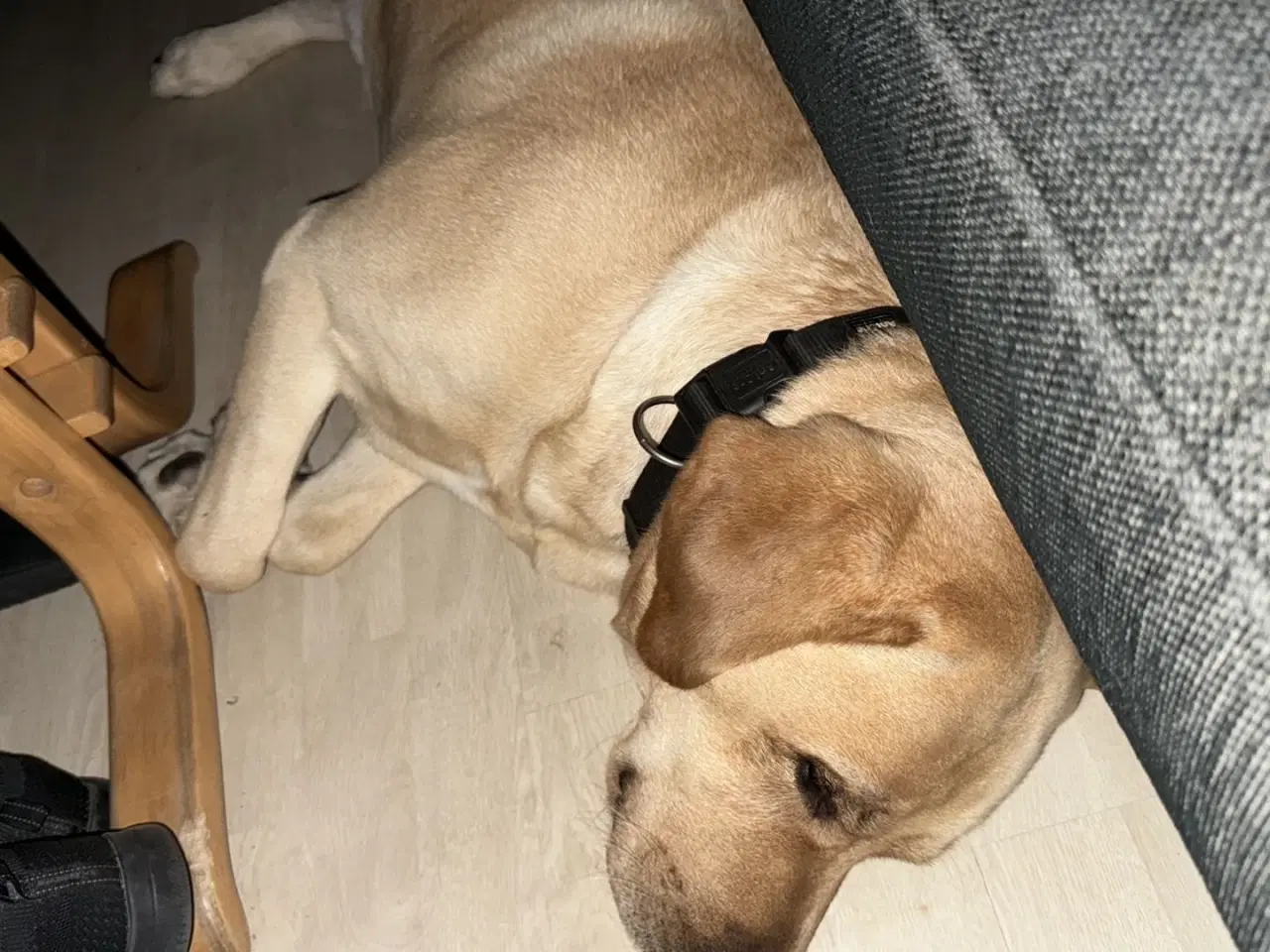 Billede 6 - Blød julegave så se her kan leveres