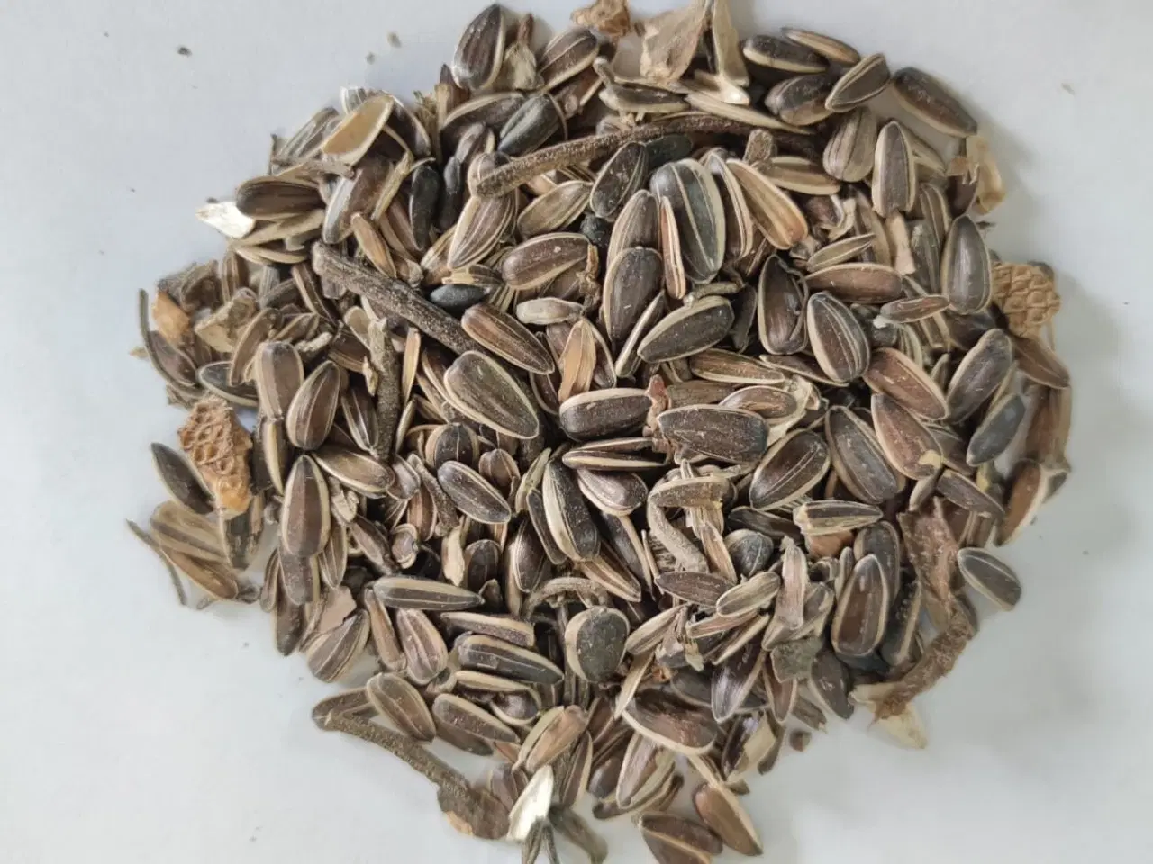 Billede 2 - Polly kornbørste sælges. Kornbørsten muliggør effe