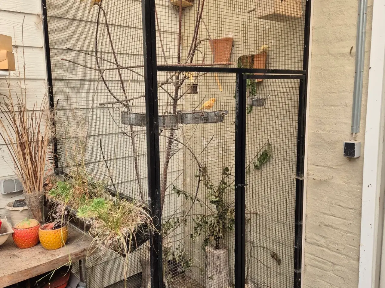 Billede 1 - Randers Voliere