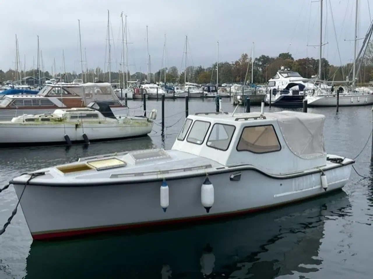 Billede 2 - Velholdt Arkavi sælges