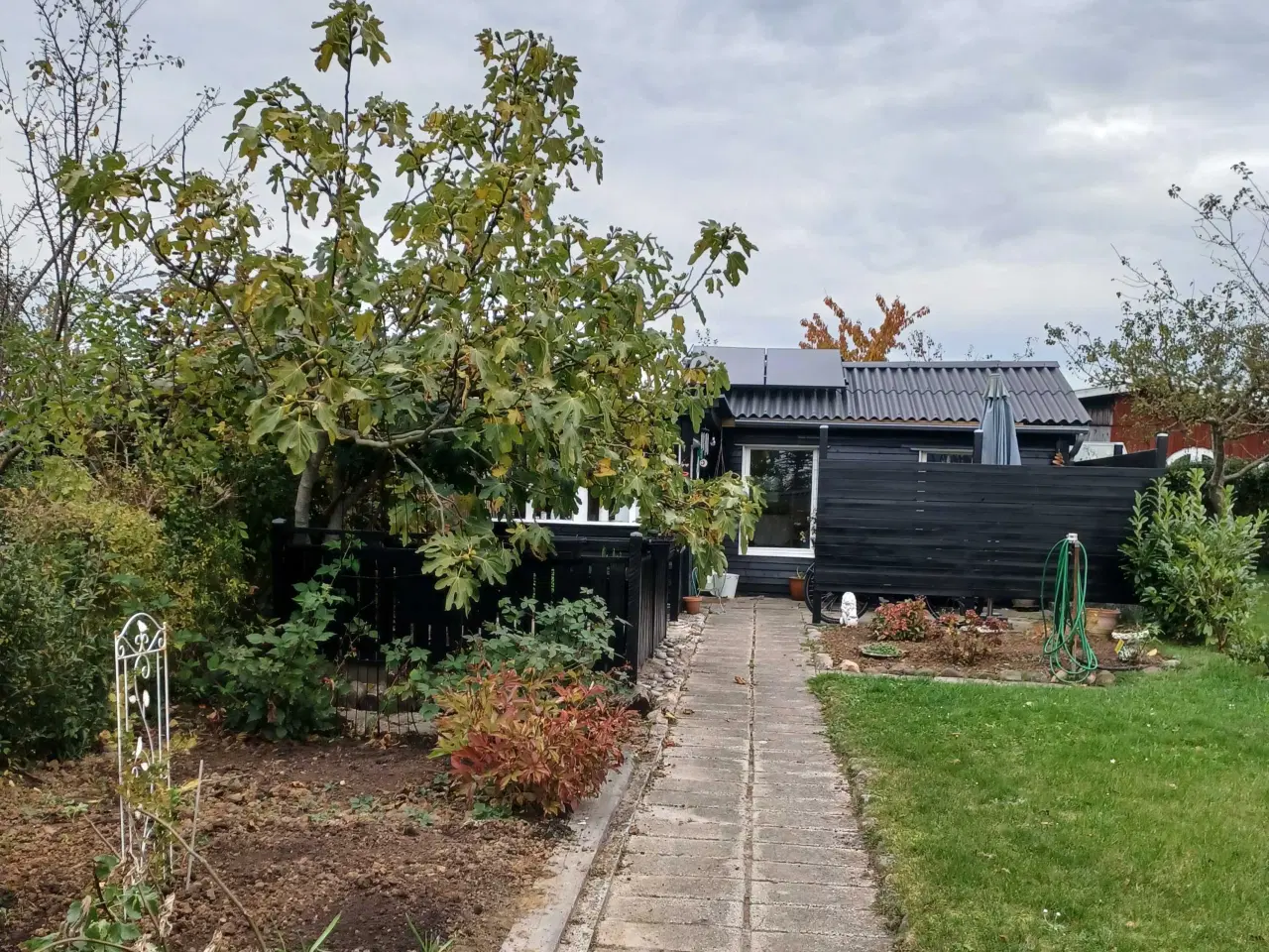 Billede 17 - Kolonihavehus