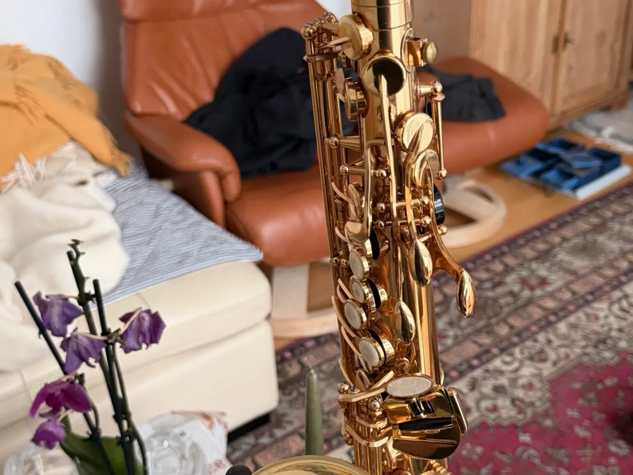 Billede 17 - Passionne Paris Alt saxofon, brugt få gange