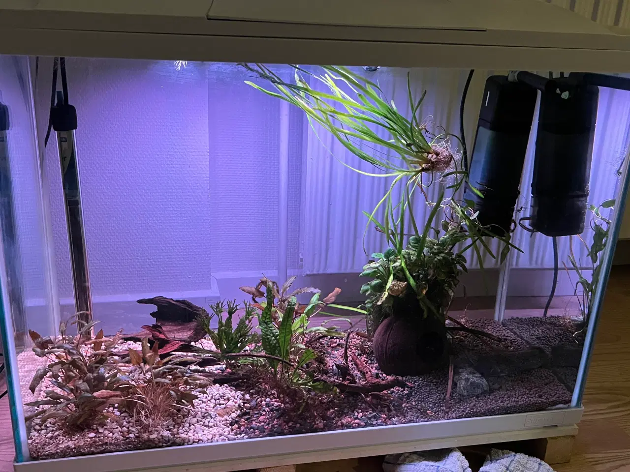 Billede 1 - 100 l akvarium fra Fish Street sælges