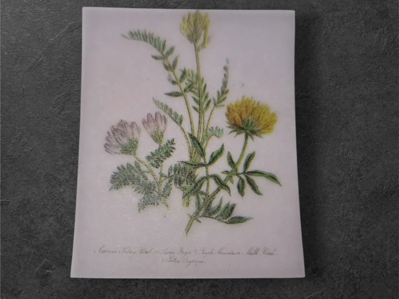 Billede 1 - Botanical Bloom – Elegant botanisk design til hobb