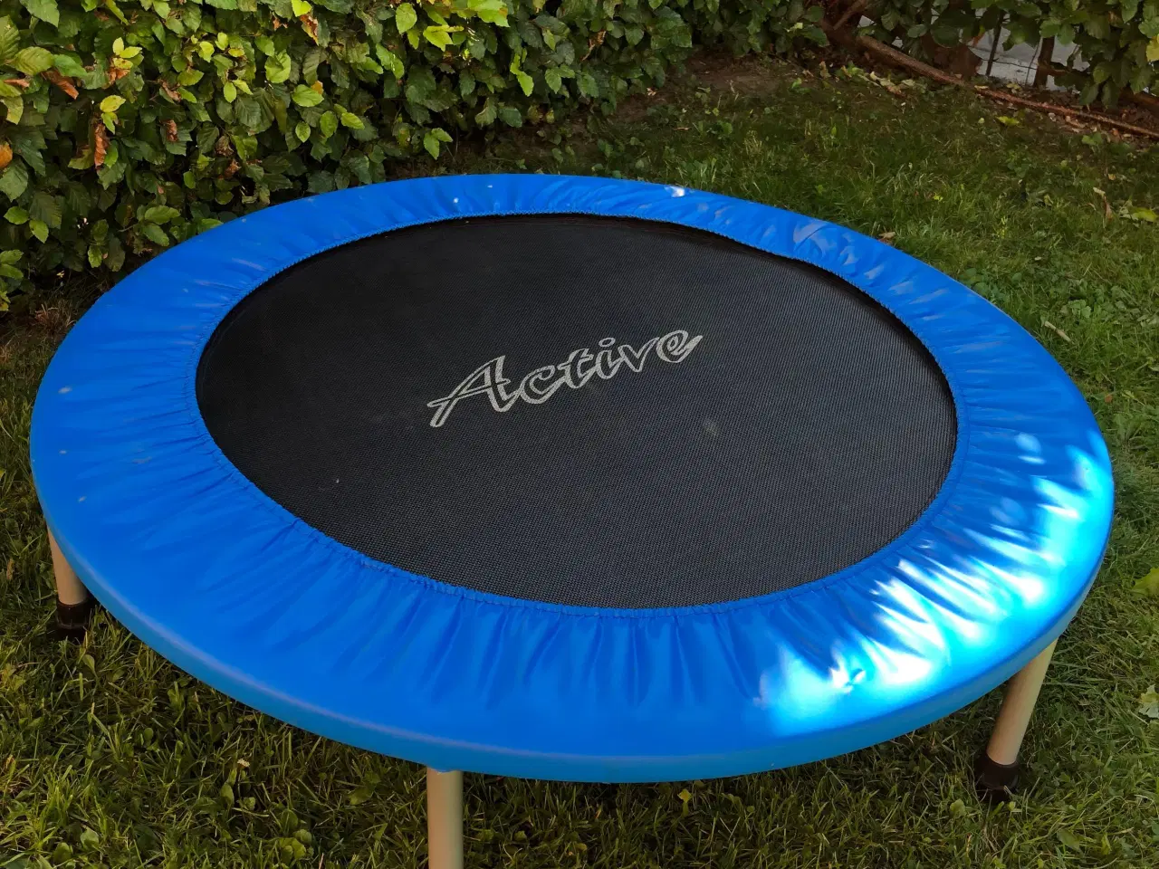 Billede 1 - Mini trampolin