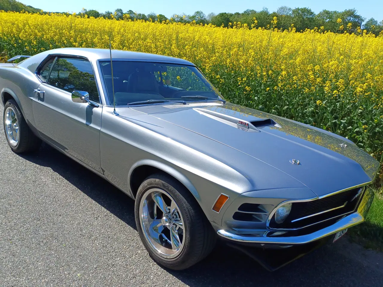 Billede 8 - 1970 Ford Mustang Fastback