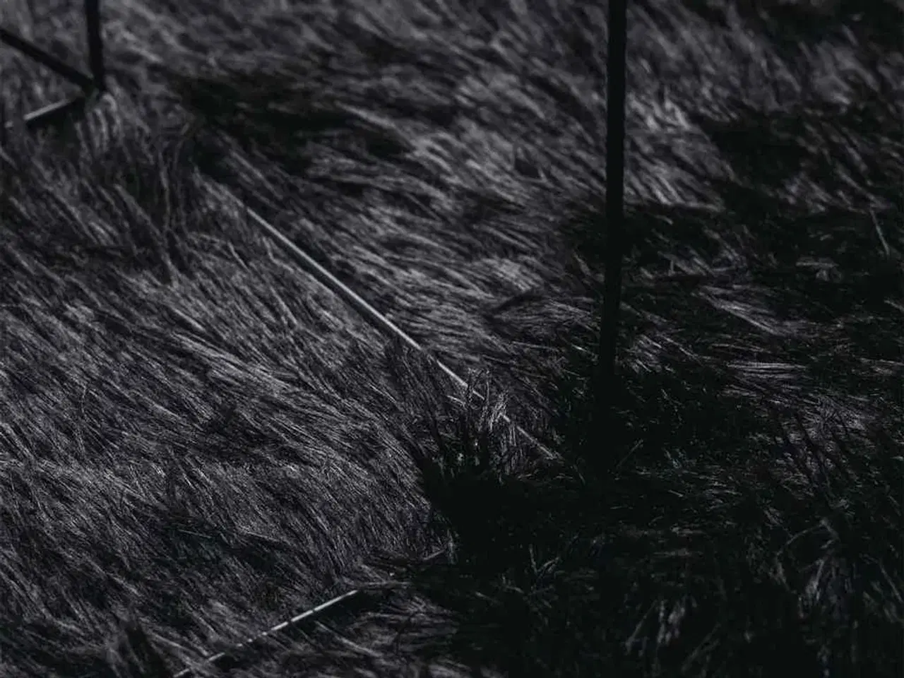 Billede 7 - Shaggy gulvtæppe NAVARRA 100x100 cm høje luv polyester sort