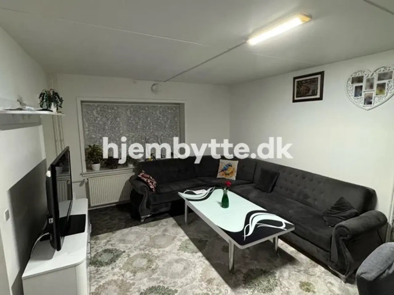 Billede 3 - Hjembytte - CarlJacobsensVej