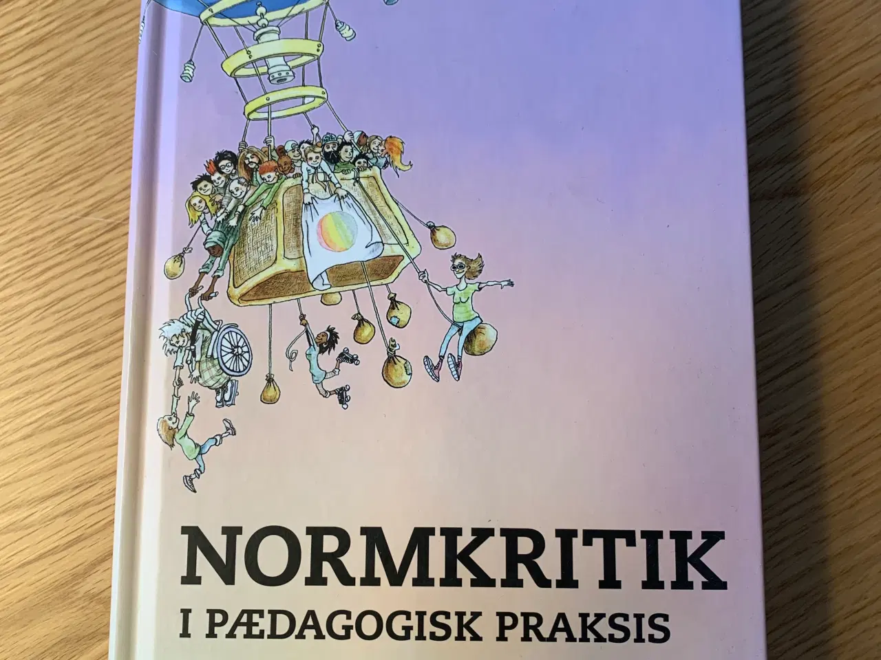 Billede 1 - Normkritik i pædagogisk praksis