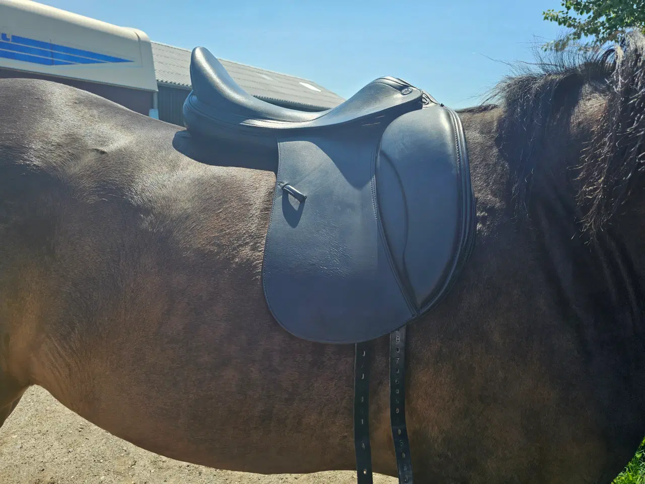 Billede 11 - Prestige x Helen 18"