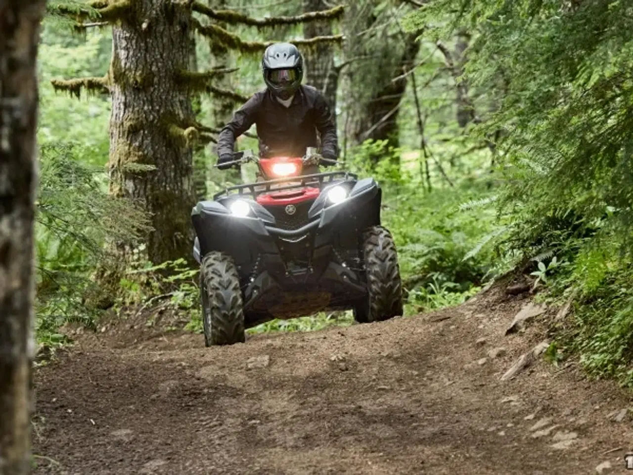 Billede 6 - Yamaha YFM 700 Grizzly EPS Traktor