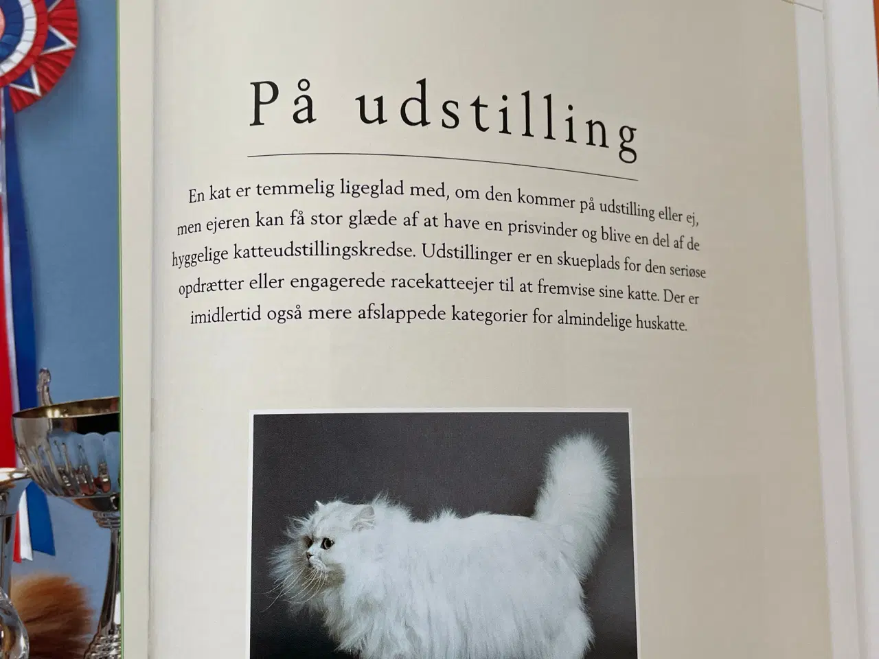 Billede 5 - Bog Kattepleje og katteracer 