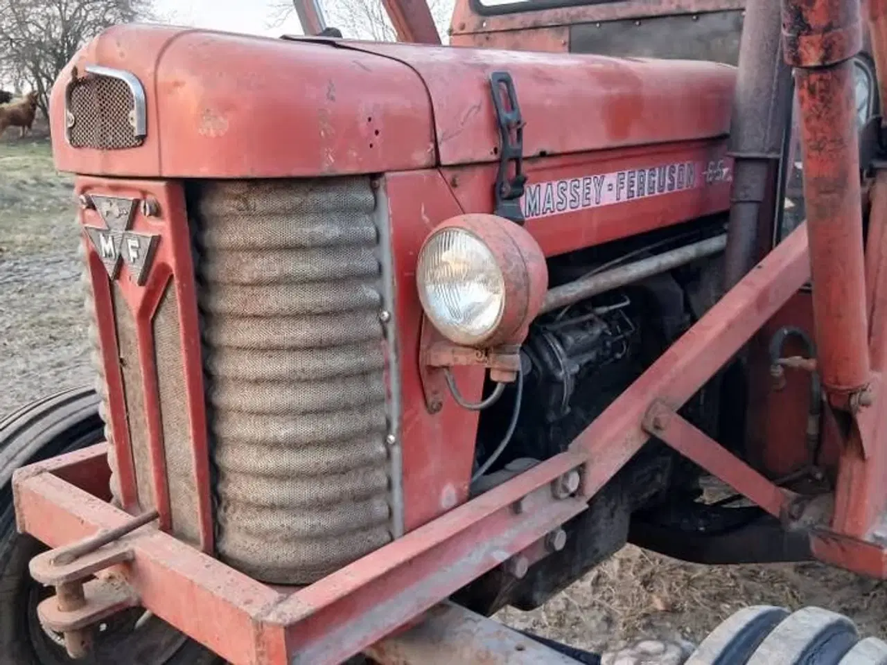 Billede 8 - Massey Ferguson 65 med frontlæsser